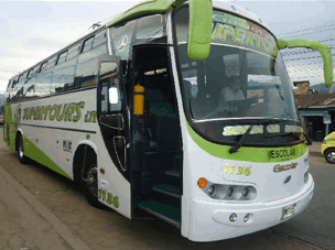 BUS